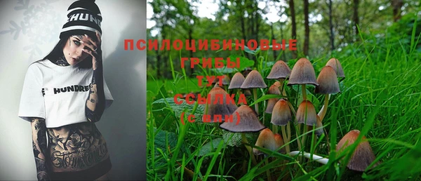 эйфоретик Алексеевка