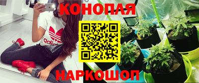 гидра Рыбинск