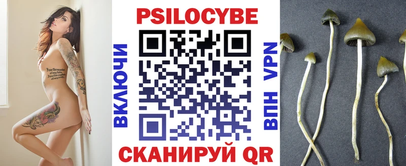 Галлюциногенные грибы мицелий  купить наркотик  Санкт-Петербург 