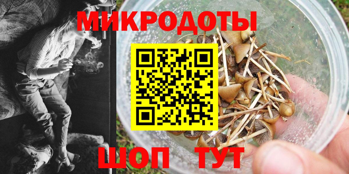 Псилоцибиновые грибы Magic Shrooms Санкт-Петербург